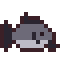 Catfish