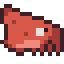 Colossal Squid