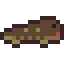 Giant Salamander