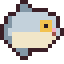 Grandmother Mola