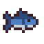 Herring