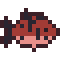 King Salmon