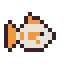 Koi