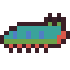 Mantis Shrimp