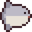 Ocean Sunfish