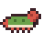 Pistol Shrimp