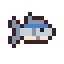 Sardine