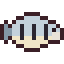 Sheepshead