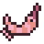 Shrimp