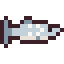 Tarpon