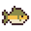 Walleye